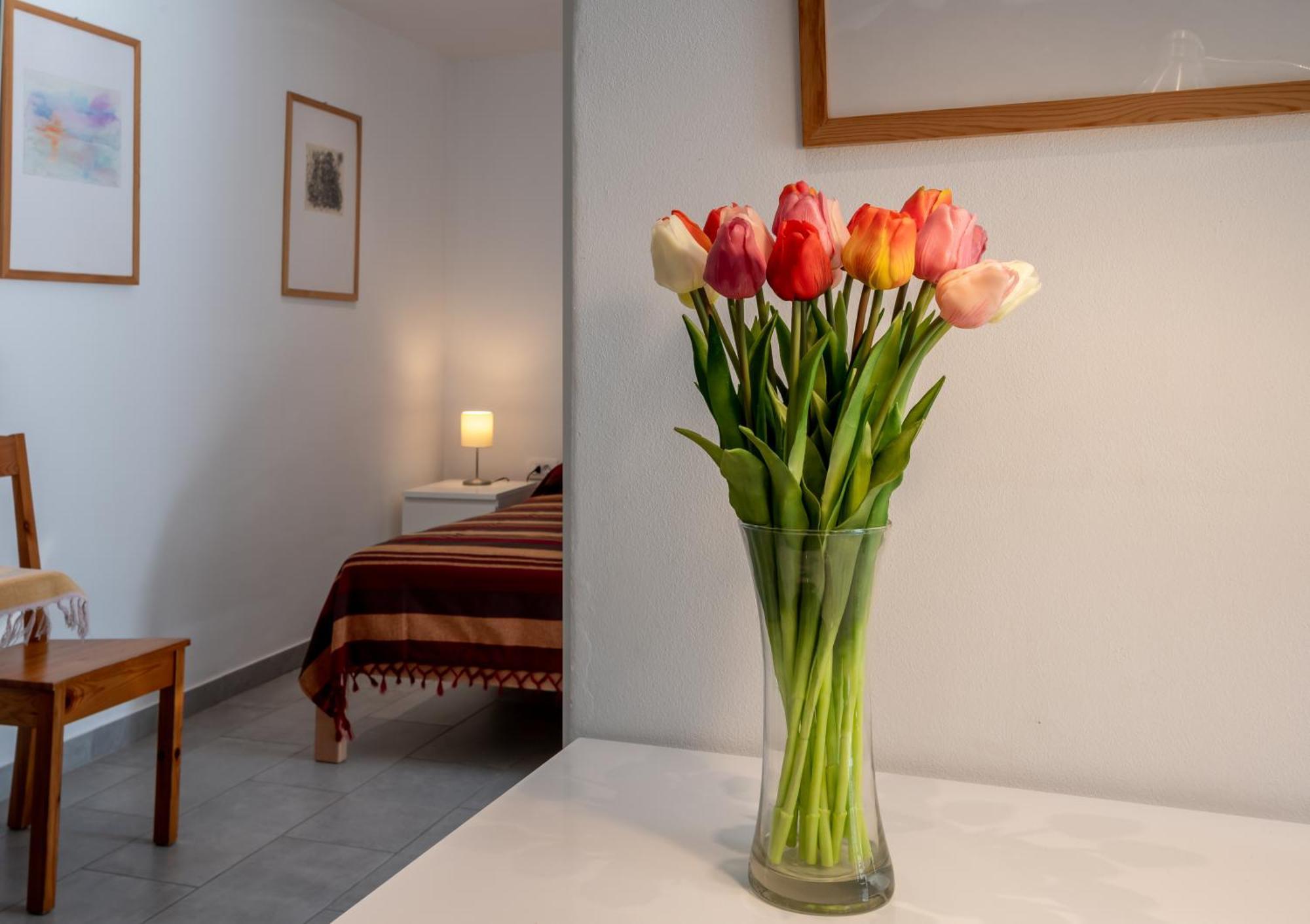 Apartment Relax House Rosemary Draga Bascanska